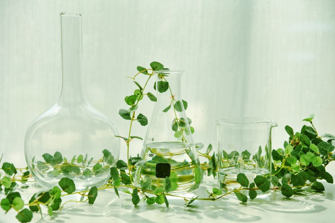 bad skincare ingredients