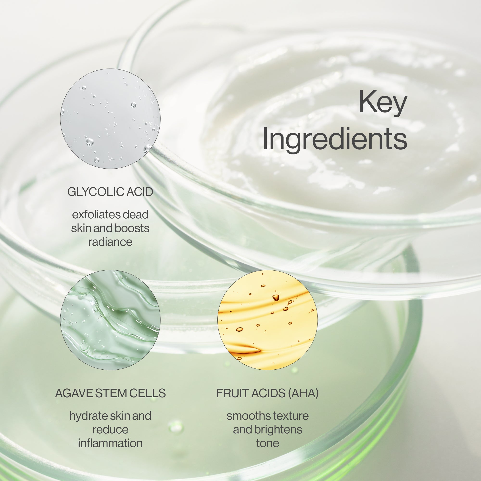 Agave Clean key ingredients: glycolic acid, agave stem cells, and fruit-based AHAs for gentle exfoliation and skin renewal.