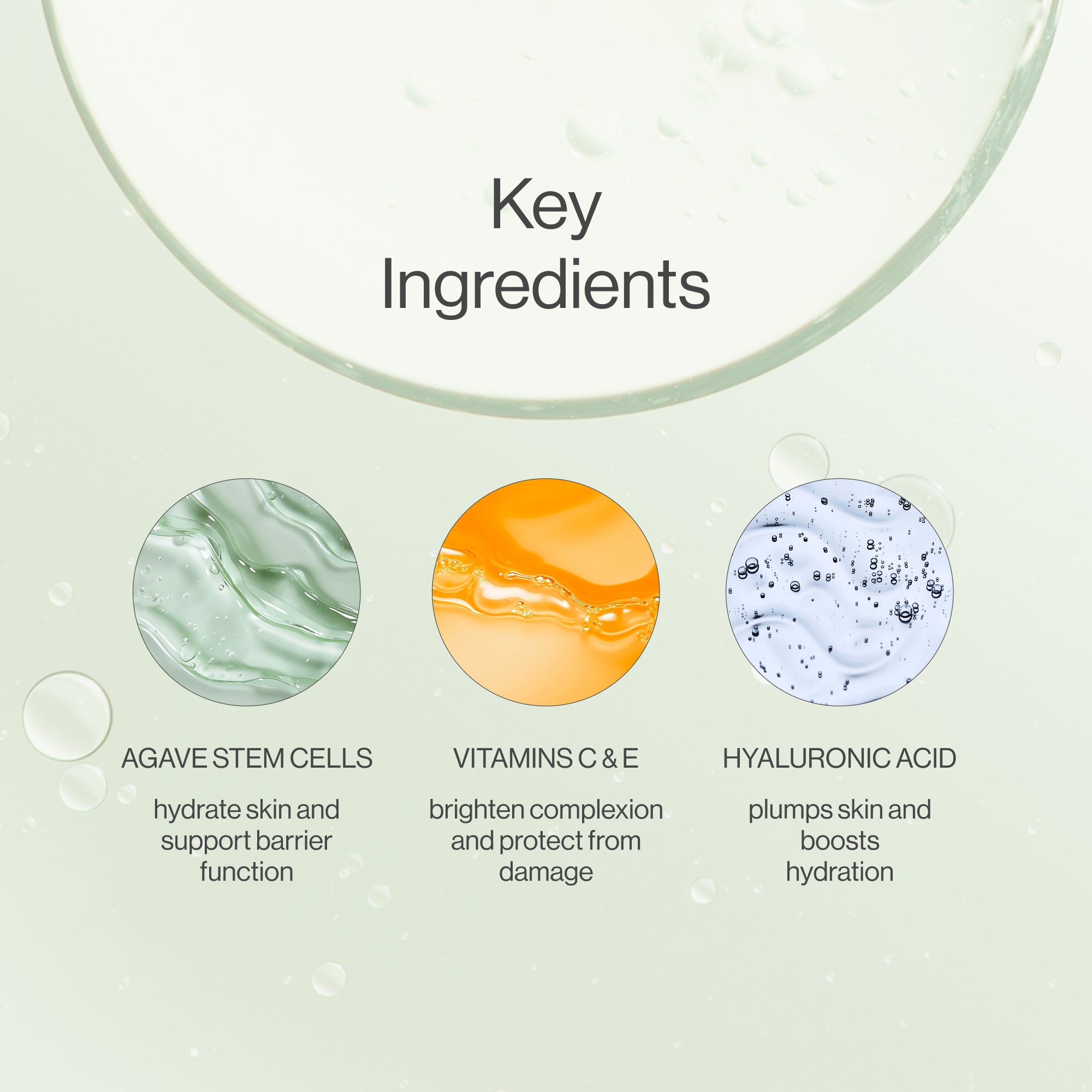 "Desert Rain moisturizer key ingredients: agave stem cells, vitamins C and E, and hyaluronic acid for hydration, brightening, and antioxidant protection.