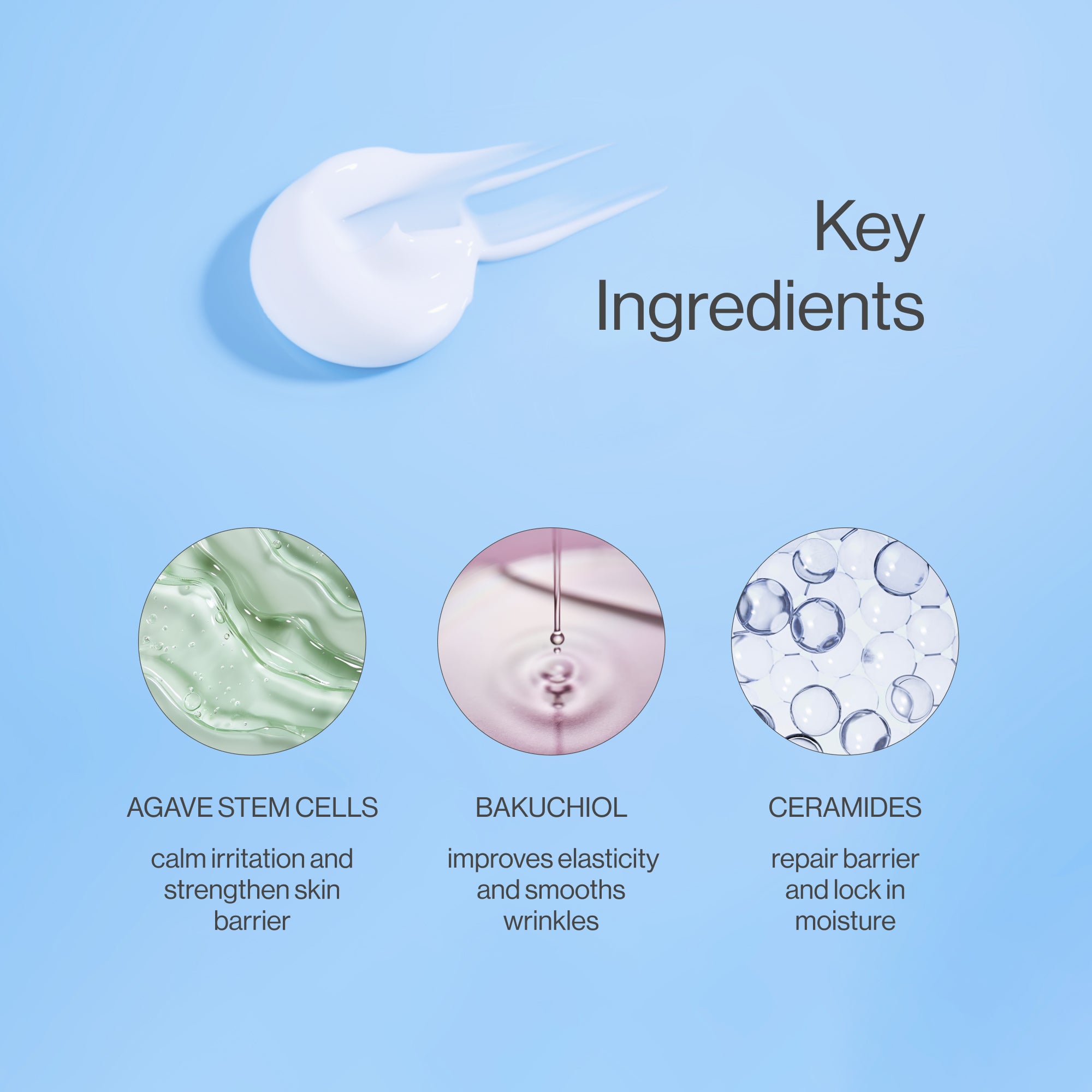 Monsoon Advanced Moisturizer key ingredients: agave stem cells, bakuchiol, and ceramides for hydration, skin regeneration, and barrier support.