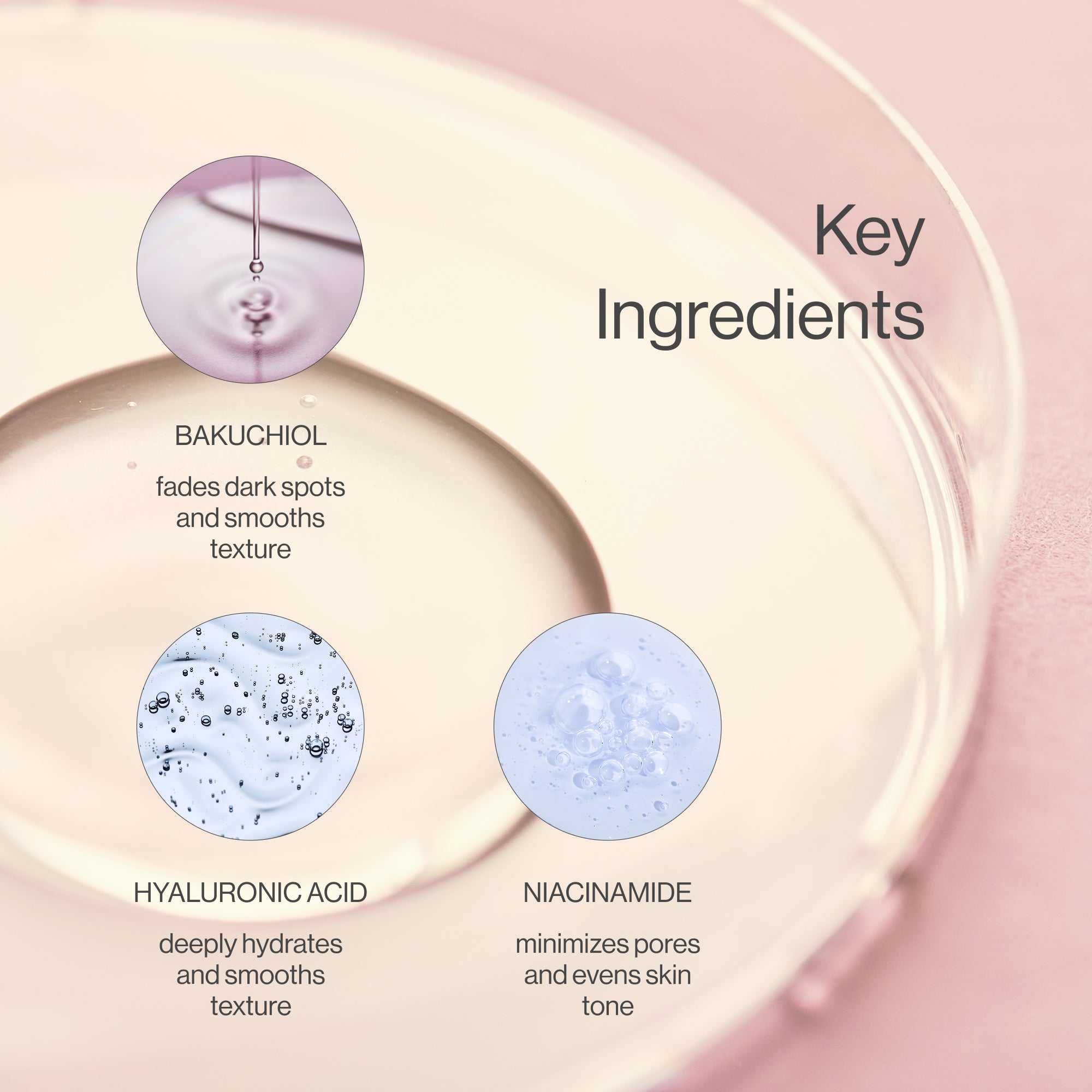 The Phoenix serum key ingredients: bakuchiol, hyaluronic acid, and niacinamide for gentle anti-aging, deep hydration, and skin barrier support.